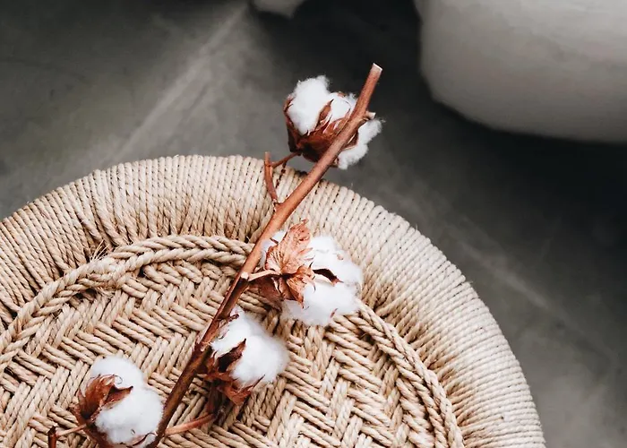 Gaia Ξενοδοχείο